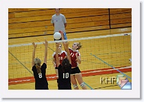 vs Seaman * (250 Slides)